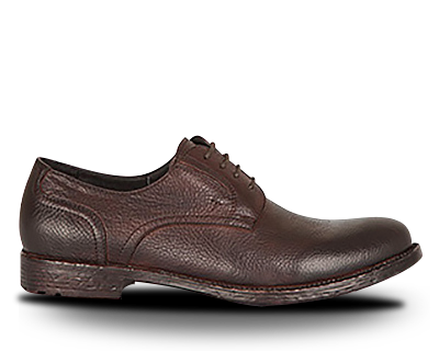 SYCAMORE LIMITED - Products Photo