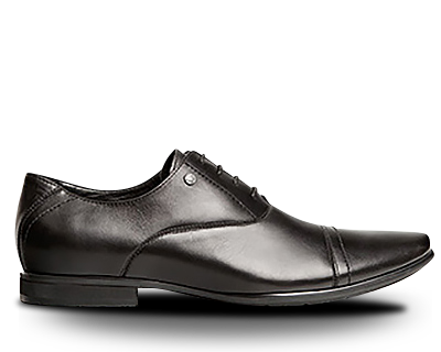 SYCAMORE LIMITED - Products Photo